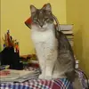 Отзыв от Елизавета Литвинова